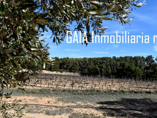 Casa Rural en venta en Maella