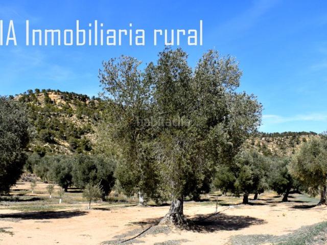 Casa Rural en venta en Bajo Aragón-Caspe / Baix Aragó-Casp, Aragón