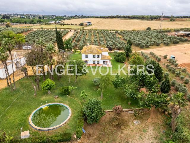 Casa Rural en venta en Mairena Del Alcor, Andalucía