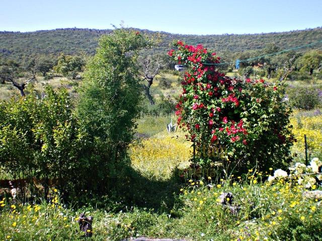 Casa Rural en venta en Malpartida De Cáceres, Extremadura