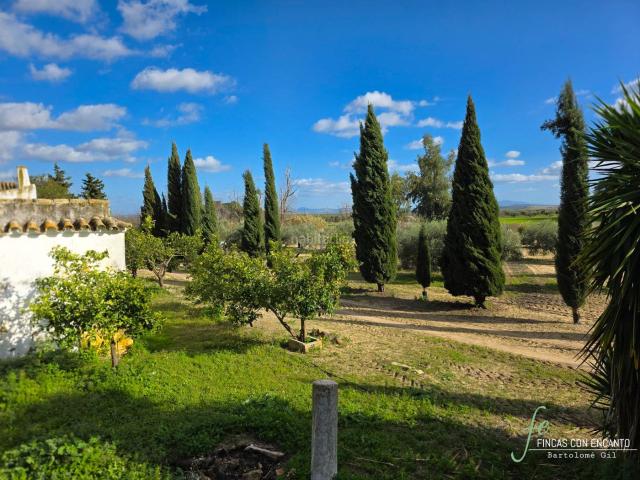 Casa Rural en venta en Marchena, Andalucía