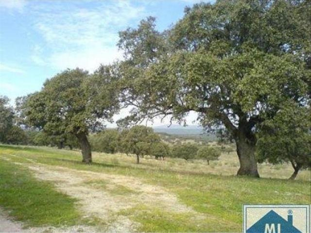 Casa Rural en venta en Cruz Campo, Mérida