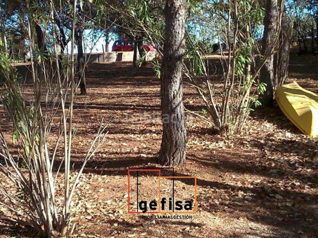 Casa Rural en venta en Montiel, Castilla-La Mancha