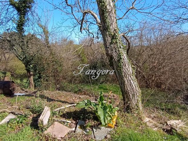 Casa Rural en venta en Morga, Guipúzcoa