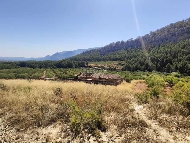 Casa Rural en venta en Río Mula, Murcia