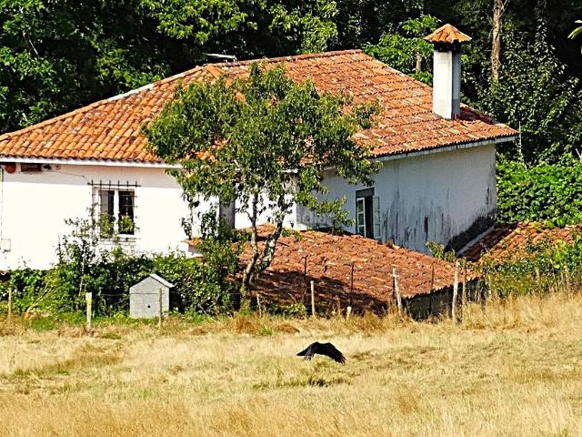 Casa Rural en venta en Castro, Ferrol