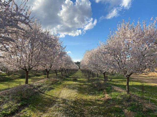 Casa Rural en venta en Navalvillar De Pela