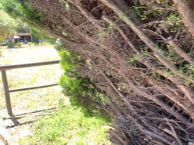 Casa Rural en venta en Sierra de las Nieves, Andalucía