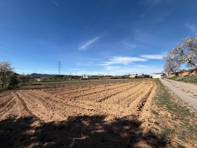 Casa Rural en venta en Sant Pere Molanta, Alt Penedès