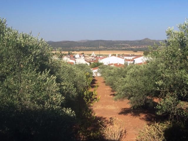 Casa Rural en venta en Avenida de la Quinta de San Juan, Llanos de Olivenza