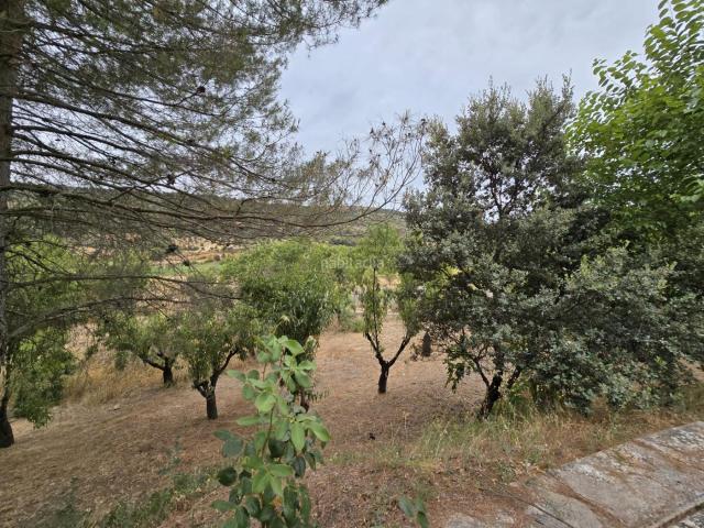 Casa Rural en venta en Orusco De Tajuña, Madrid