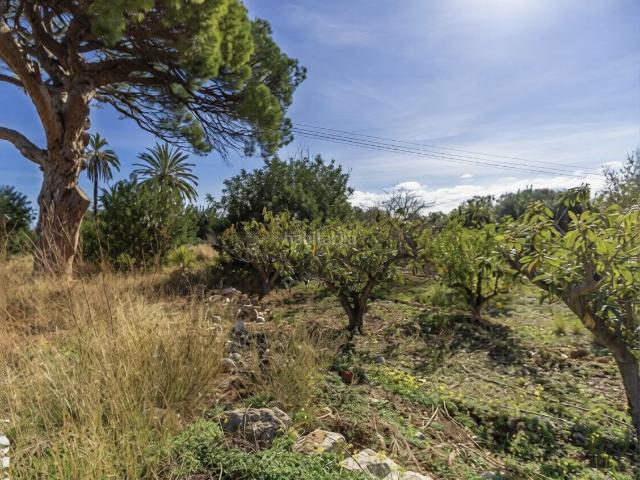 Casa Rural en venta en la Marina Alta, Valencia