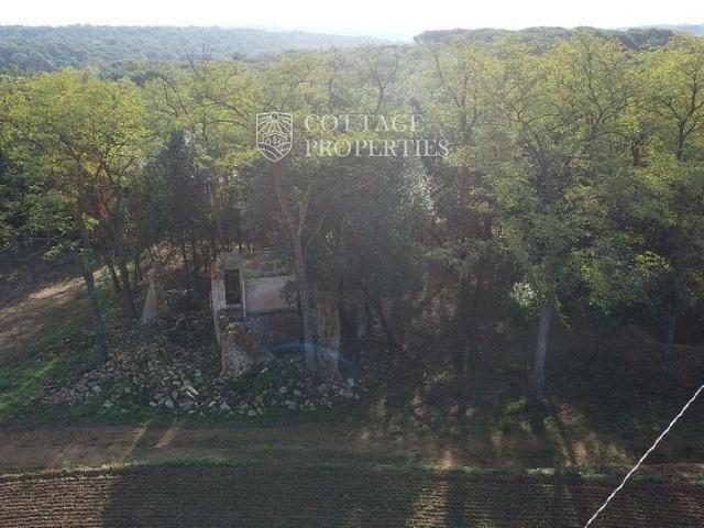 Casa Rural en venta en Pla de l'Estany, Catalunya
