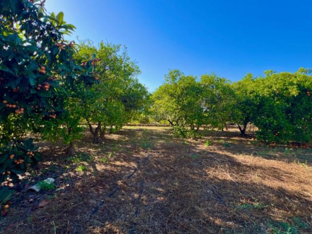 Casa Rural en venta en la Marina Alta, Valencia