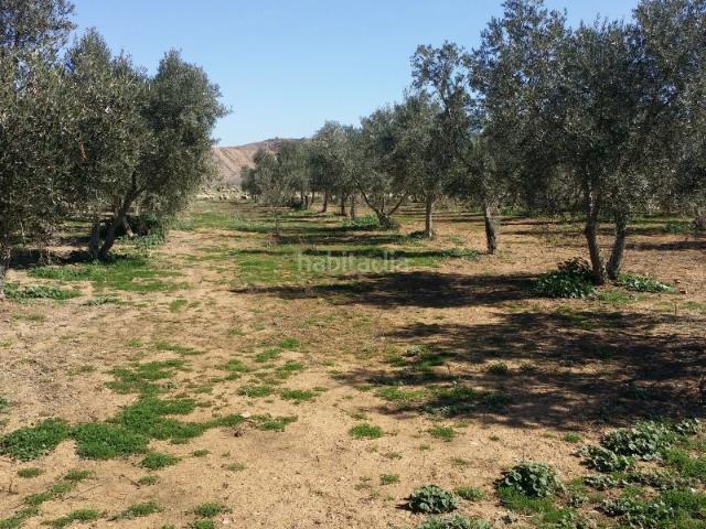 Casa Rural en venta en Peñarroya-pueblonuevo, Andalucía