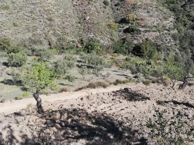 Casa Rural en venta en Comarca del Valle de Lecrín, Andalucía
