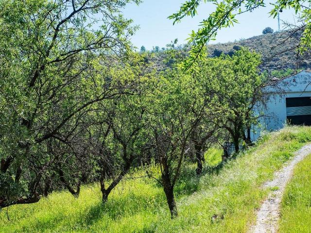 Casa Rural en venta en Comarca de la Vega de Granada, Andalucía