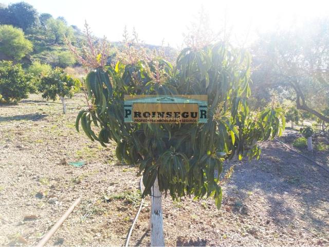 Casa Rural en venta en Valle del Guadalhorce, Andalucía
