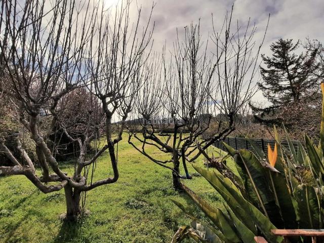 Casa Rural en venta en Plentzia, Guipúzcoa