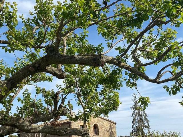 Quinta en venta en Vilanova De Meià, Lluçars