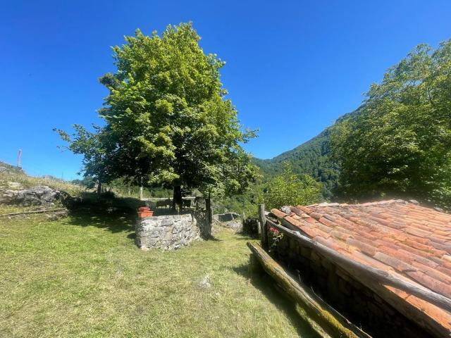 Casa en venta en Ponga, Asturias