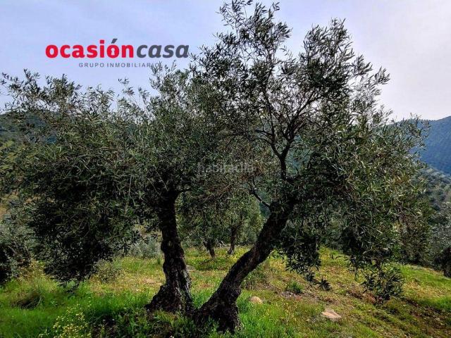 Casa Rural en venta en Pozoblanco, Andalucía