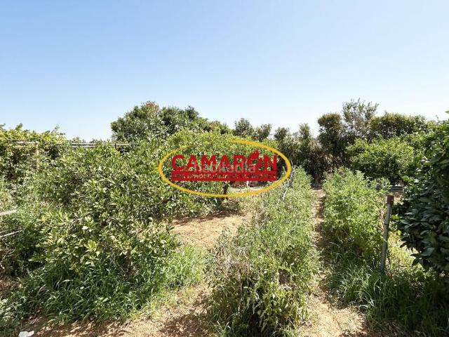 Casa Rural en venta en La Puebla Del Río, Andalucía