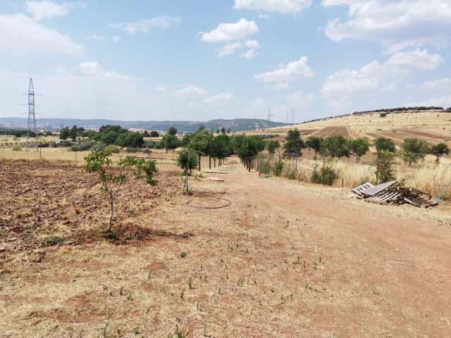 Casa Rural en venta en Barriada Centro-Sur, Puertollano
