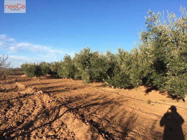 Casa Rural en venta en La Estación, Pulpí