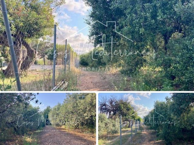 Casa Rural en venta en Riudoms