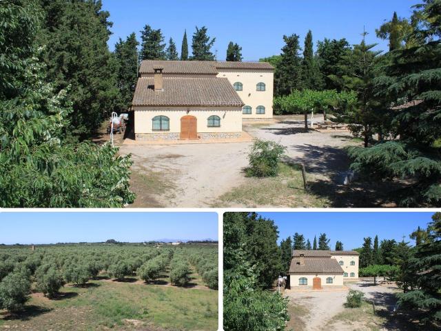 Casa Rural en venta en Riudoms