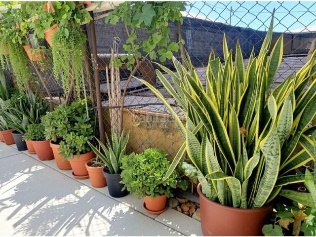 Casa Rural en venta en Los Depósitos, Roquetas de Mar