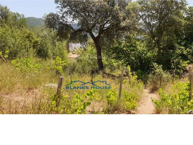 Casa Rural en venta en la Selva, Catalunya