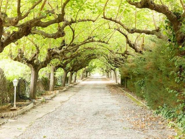 Casa Rural en venta en Sant Mateu, Valencia