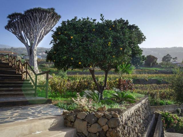 Casa Rural en venta en Santa Úrsula, Canarias