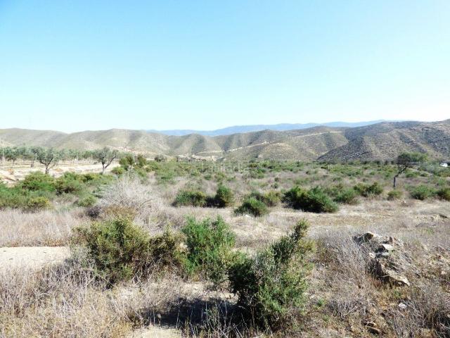 Casa Rural en venta en Tabernas, Andalucía