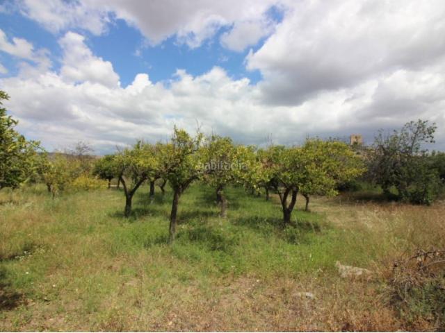 Casa Rural en venta en Tabernas, Almería