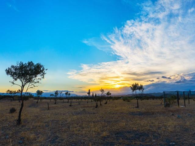 Casa Rural en venta en Tabernas, Andalucía