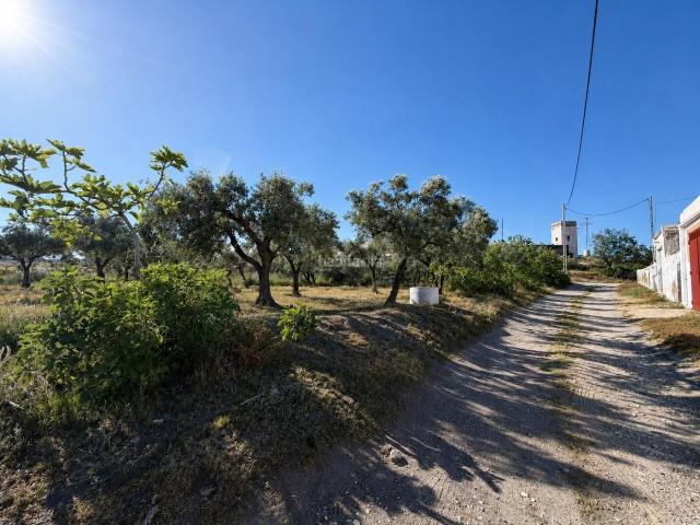 Casa Rural en venta en Tabernas, Andalucía