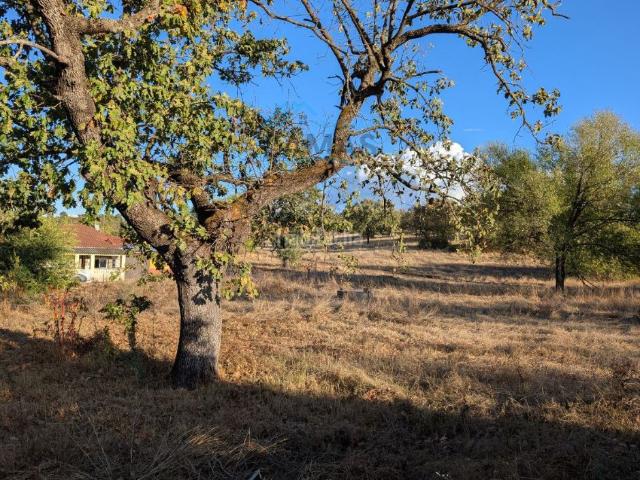 Casa Rural en venta en Talayuela, Extremadura
