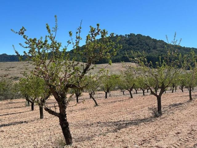 Casa Rural en venta en Tobarra, Castilla-La Mancha