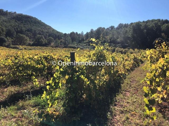 Casa Rural en venta en Alt Penedès, Catalunya