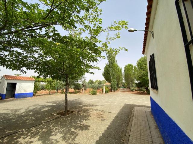 Casa Rural en venta en Torrenueva, Castilla-La Mancha