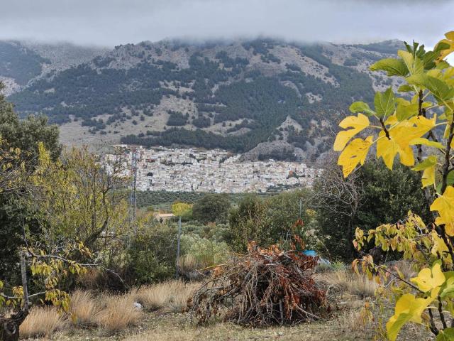 Casa Rural en venta en Torres, Jaén