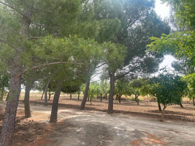 Casa Rural en venta en Gerindote