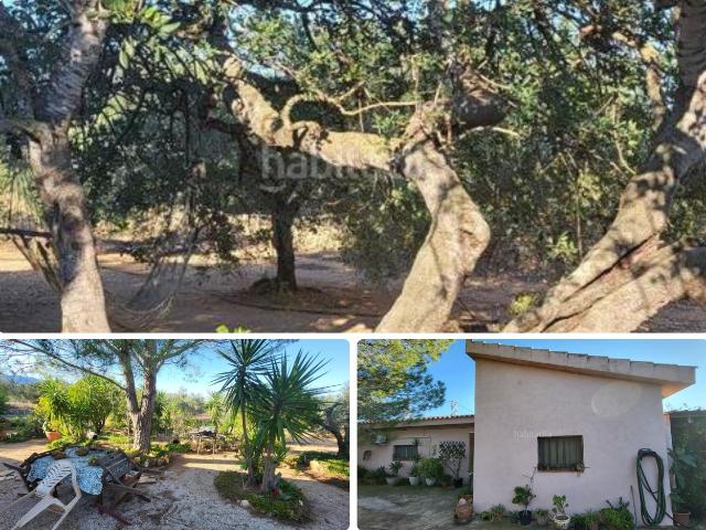 Casa Rural en venta en els Reguers, Tortosa