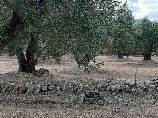 Casa Rural en venta en la Carretera dels Reguers, Baix Ebre