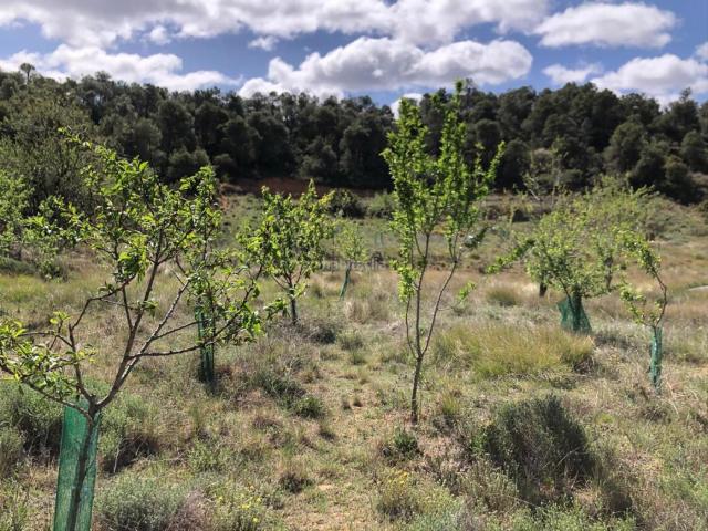 Casa Rural en venta en Valderrobres