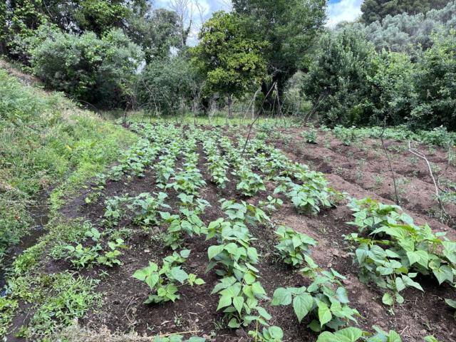 Casa Rural en venta en Valencia De Alcántara, Extremadura