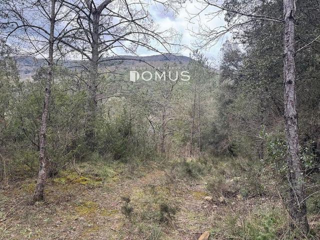 Casa Rural en venta en Garrotxa, Catalunya